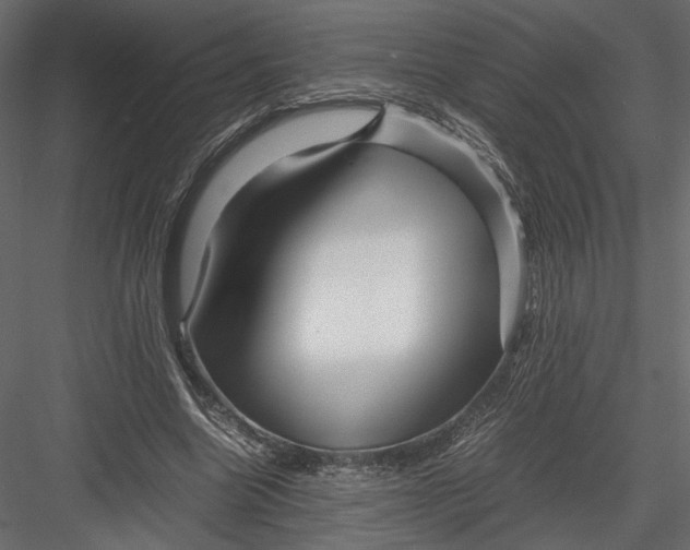 X0000082950538200702222316