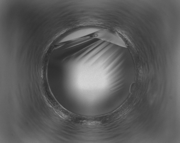 X0000082950539200702222316