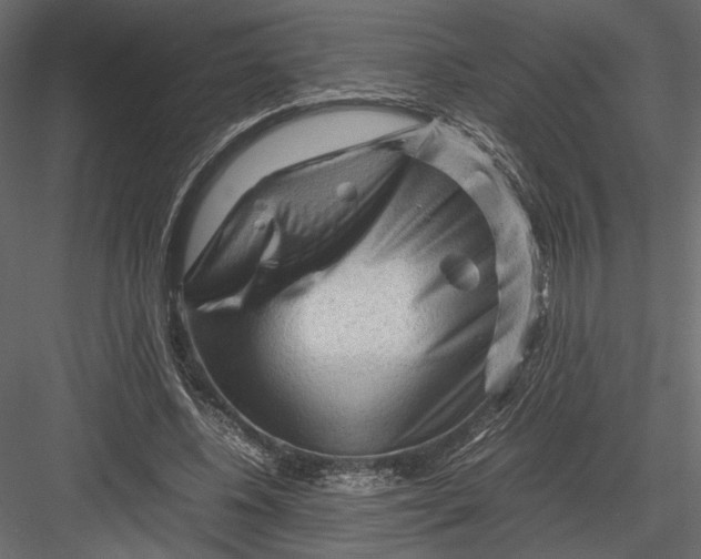 X0000082950540200702222316