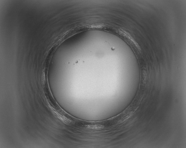 X0000082950541200702222316