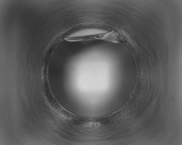 X0000082950543200702222316