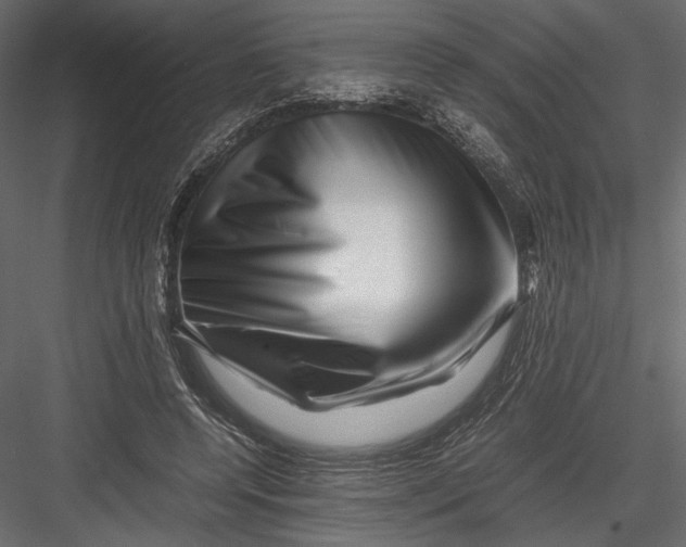 X0000082950544200702222316