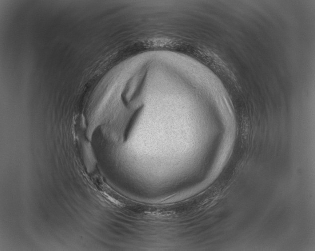 X0000082950545200702222316