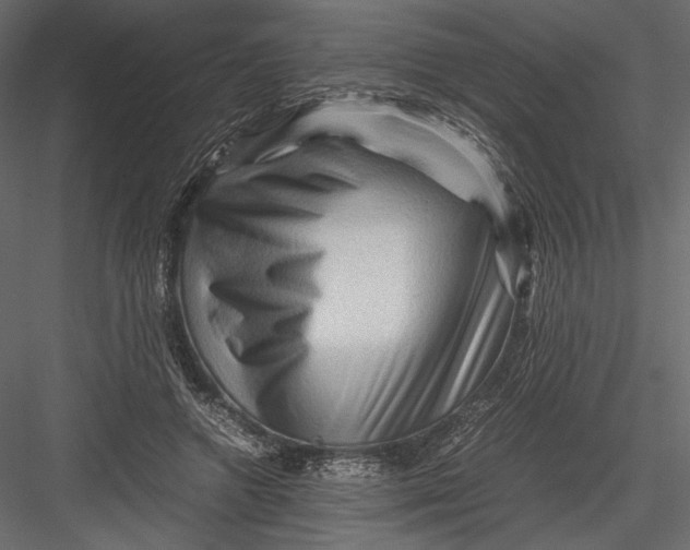 X0000082950546200702222316