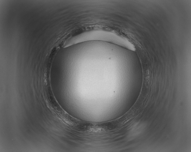 X0000082950547200702222316