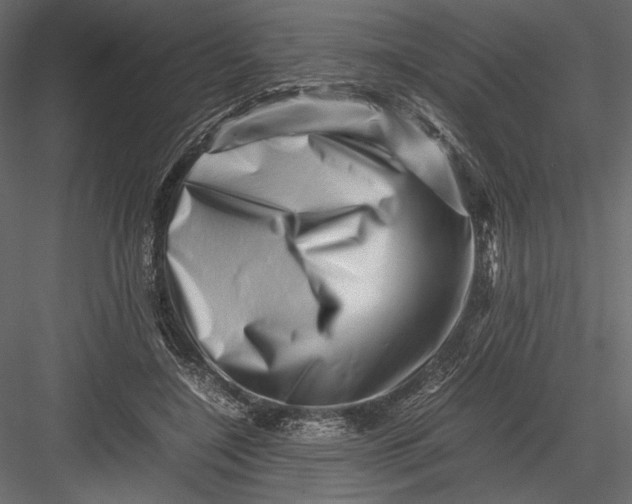 X0000082950548200702222316