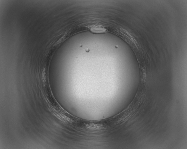 X0000082950549200702222316