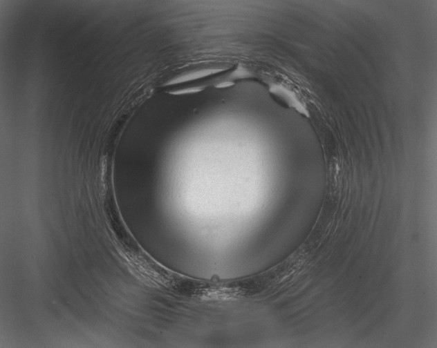 X0000082950550200702222316