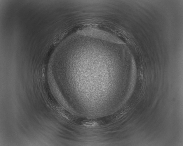 X0000082950551200702222316