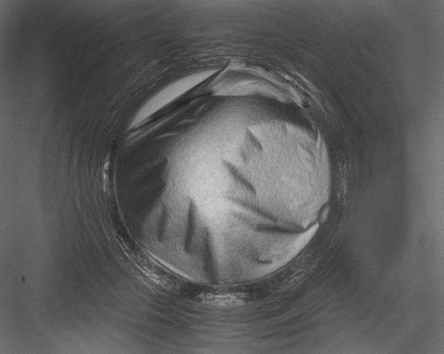 X0000082950553200702222316