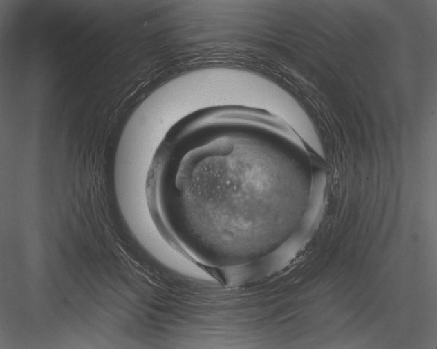 X0000082950556200702222316