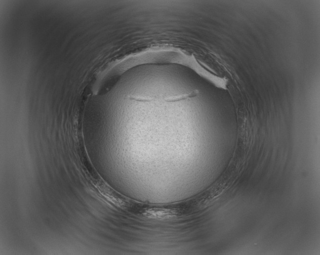 X0000082950557200702222316