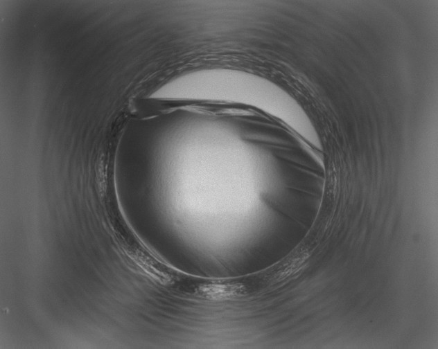 X0000082950558200702222316