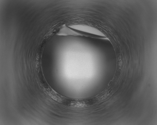 X0000082950559200702222316