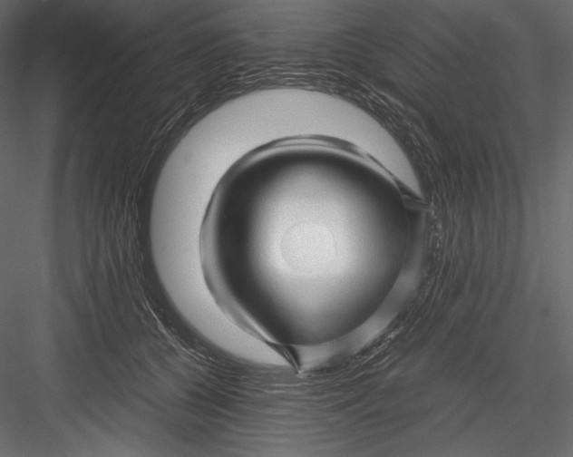 X0000082950560200702222316