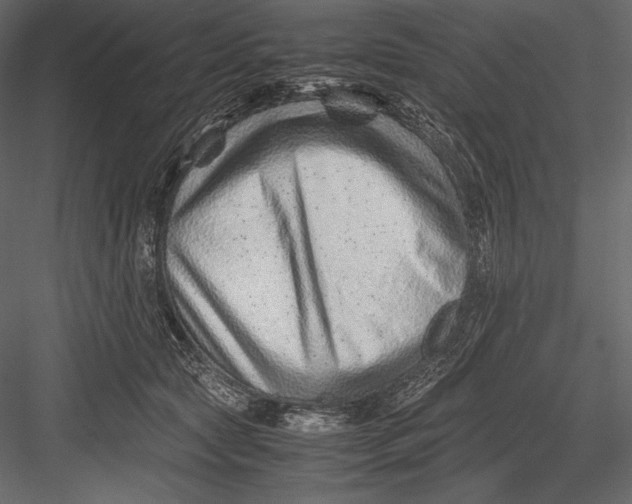 X0000082950561200702222316