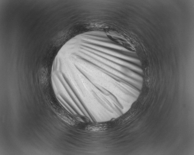 X0000082950563200702222316