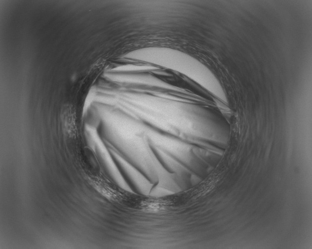 X0000082950564200702222316