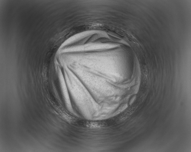 X0000082950565200702222316