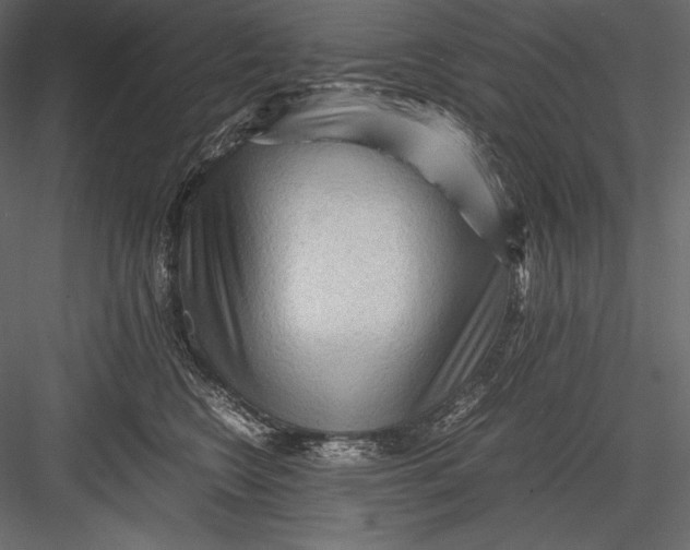 X0000082950566200702222316