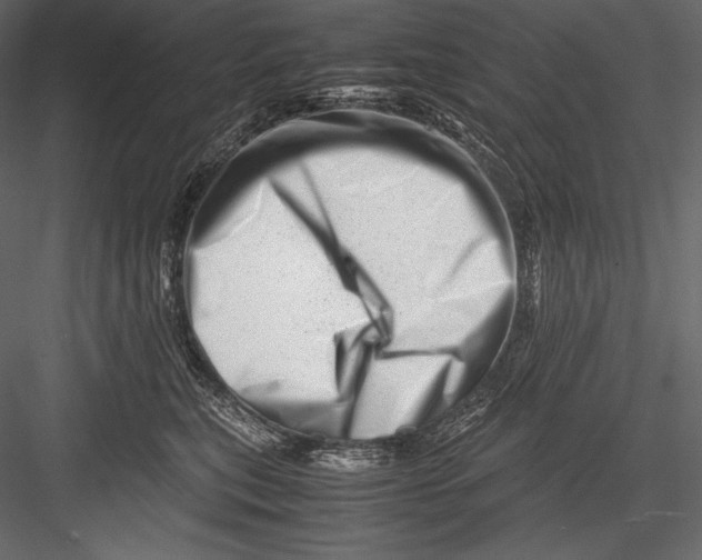 X0000082950567200702222316