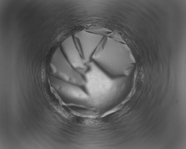 X0000082950568200702222316