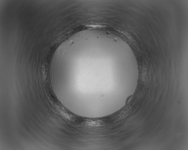 X0000082950569200702222316