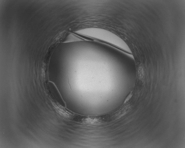 X0000082950570200702222316