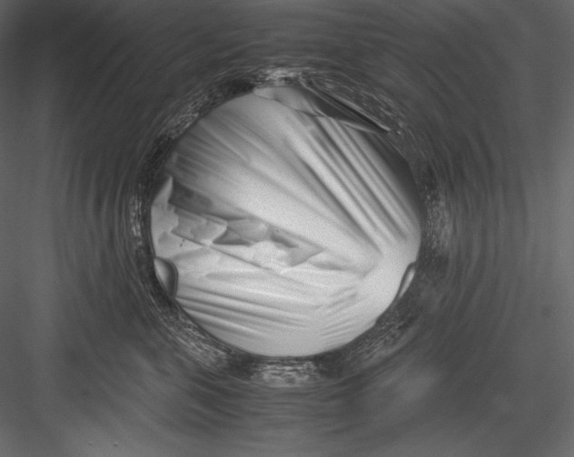 X0000082950571200702222316