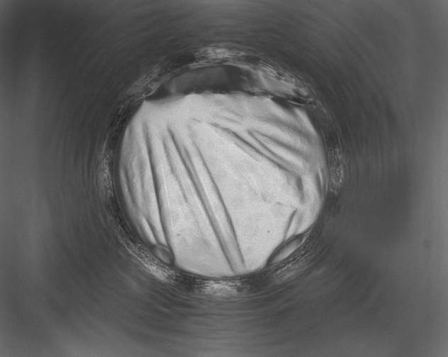 X0000082950573200702222316