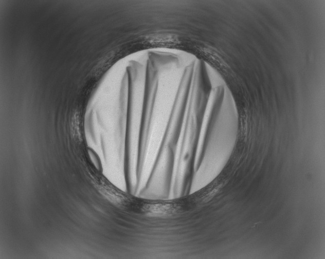 X0000082950575200702222316