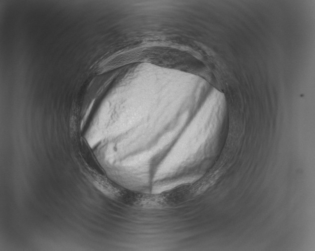 X0000082950576200702222316