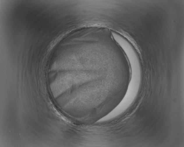 X0000082950577200702222316