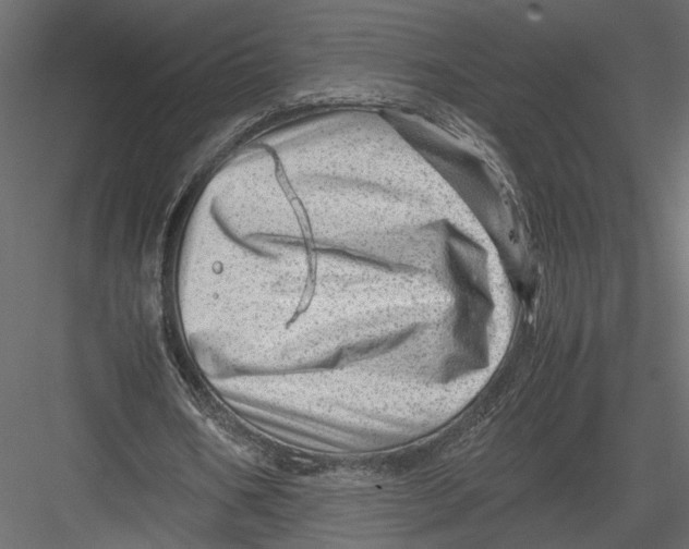 X0000082950578200702222316