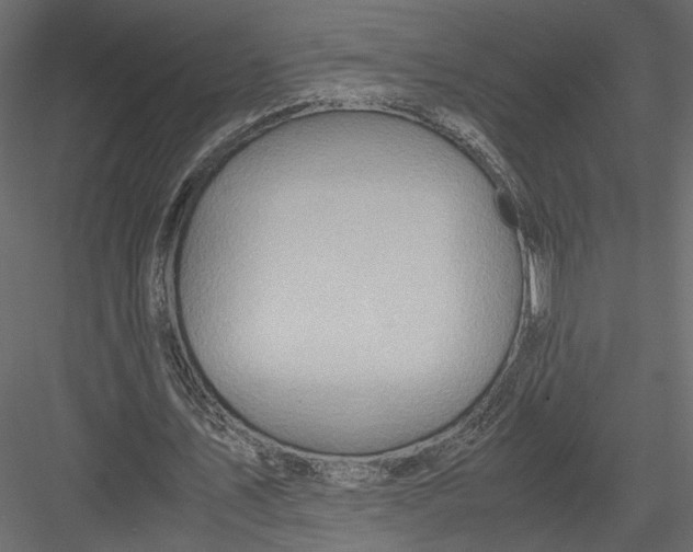 X0000082950579200702222316