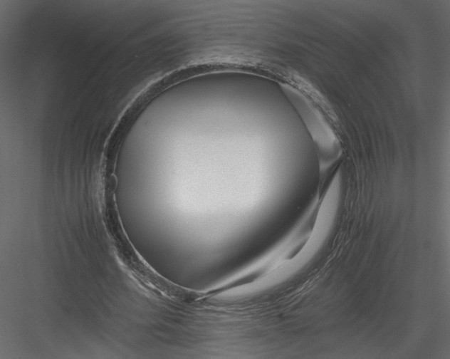 X0000082950580200702222316