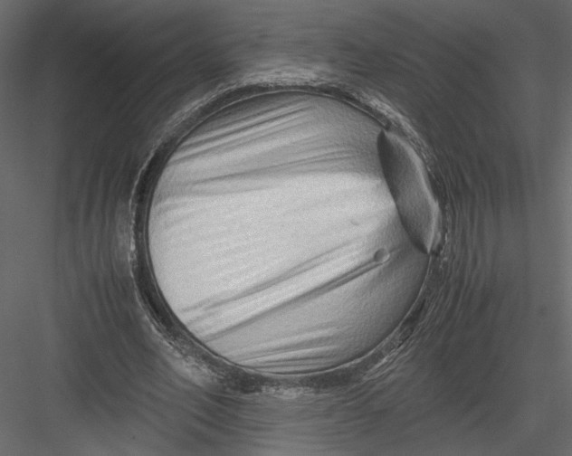 X0000082950582200702222316