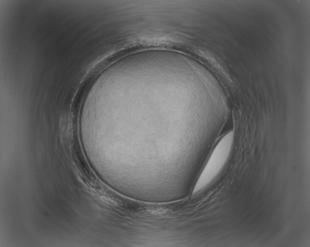 X0000082950583200702222316