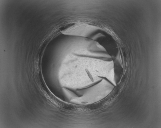 X0000082950585200702222316