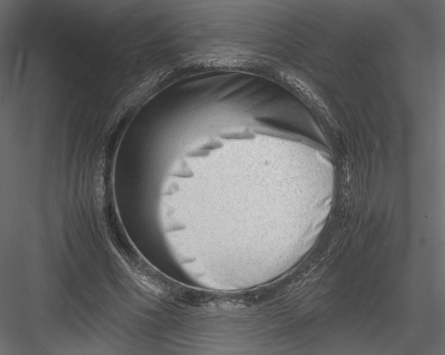 X0000082950586200702222316