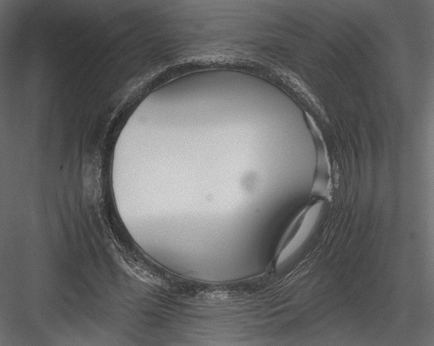 X0000082950588200702222315