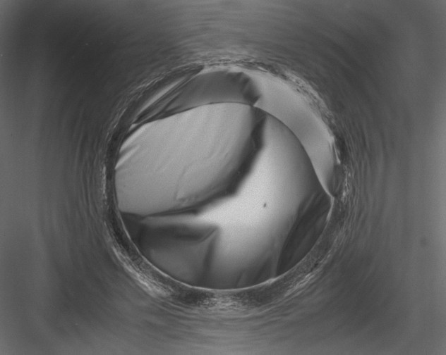 X0000082950589200702222315