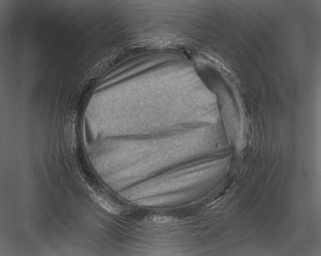 X0000082950590200702222315