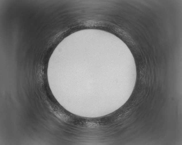 X0000082950592200702222315