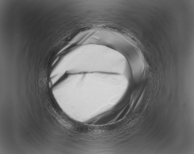 X0000082950593200702222315