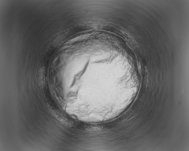 X0000082950594200702222315