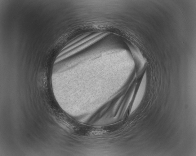 X0000082950595200702222315