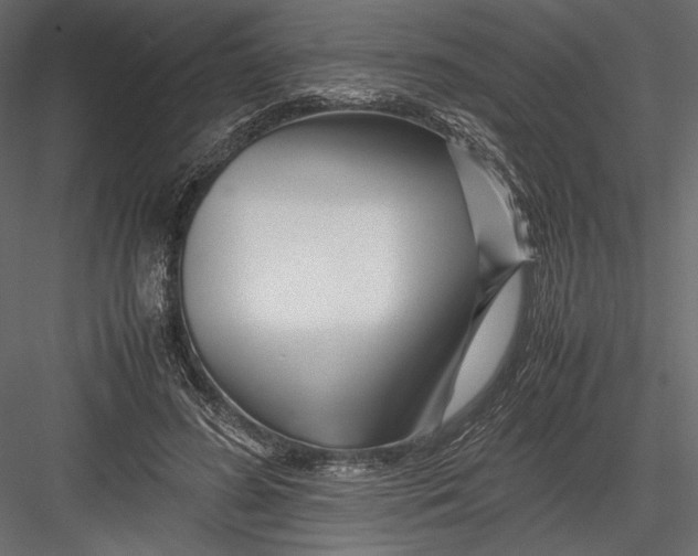 X0000082950596200702222315