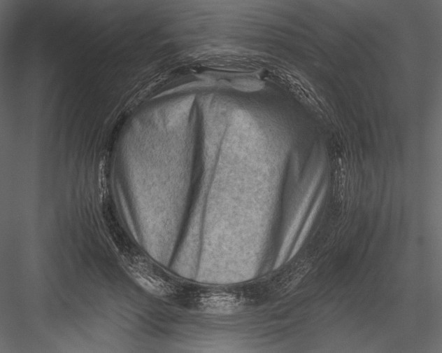 X0000082950598200702222315