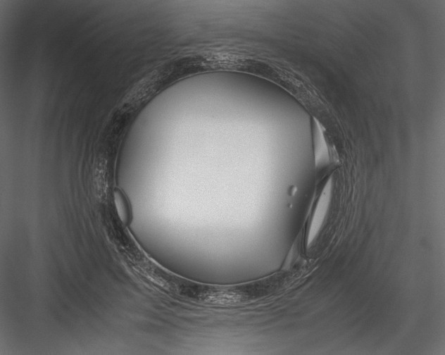 X0000082950599200702222315